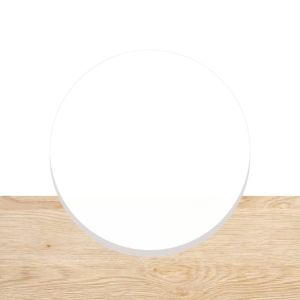 pom cirkel wit 2mm dikte